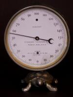 Figural Thermometer With A Turtle Base