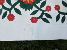 Applique Quilt