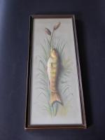 Two John S. Bower Pastel Fish Paintings