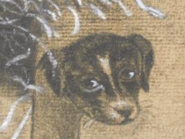 Charcoal Drawing Of Two Kittens And A Puppy