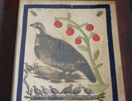 Folk Art Presentation Partridge Drawing